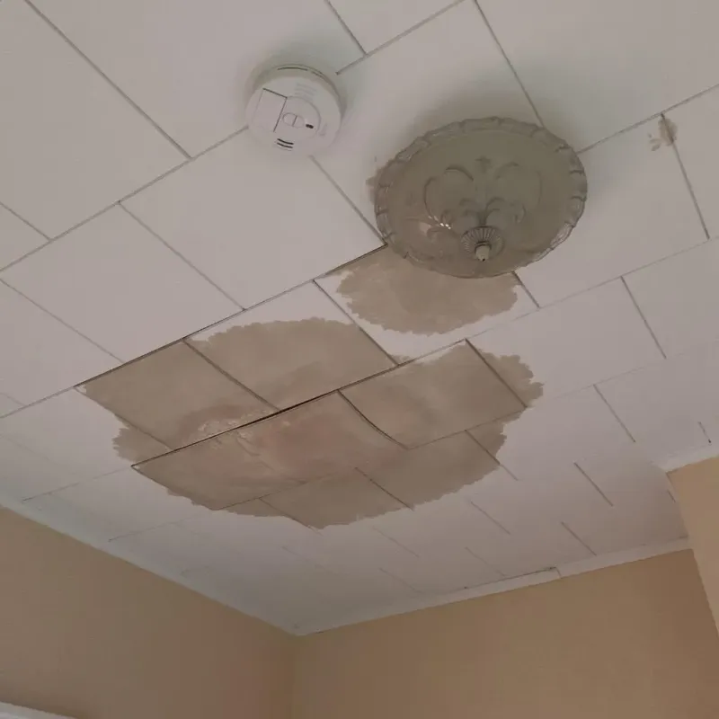 Ceiling Water Damage Repair in East Falmouth, MA
