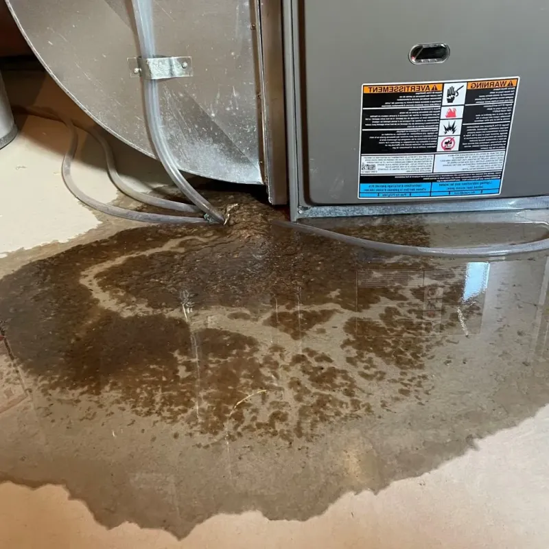 Pipe Burst and Leak Restoration in East Falmouth, MA